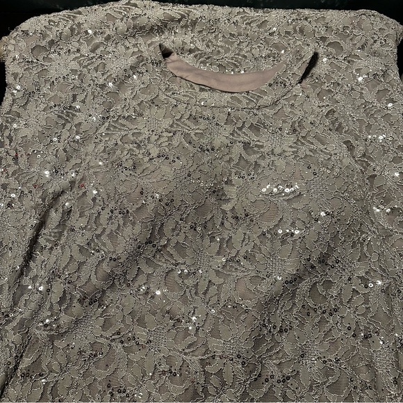 R & M Richards Sequin Lacey Silver Gown - Picture 4 of 9